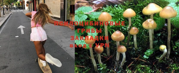 метадон Абинск