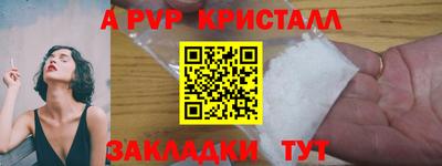 индика Гатчина
