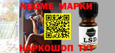 индика Гатчина