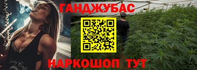 индика Гатчина