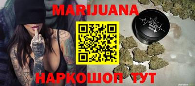 индика Гатчина