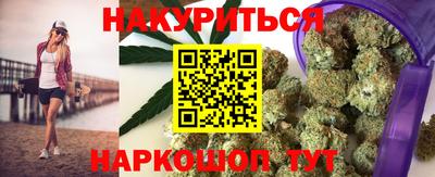 индика Гатчина