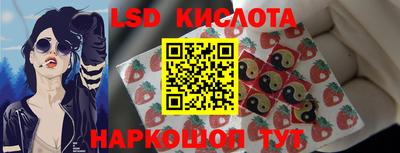 индика Гатчина