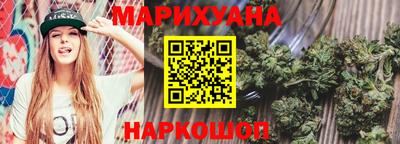 индика Гатчина
