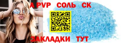 индика Гатчина