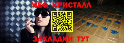индика Гатчина