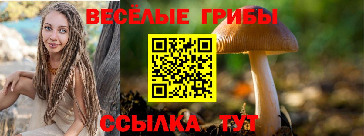 Галлюциногенные грибы прущие грибы Сальск